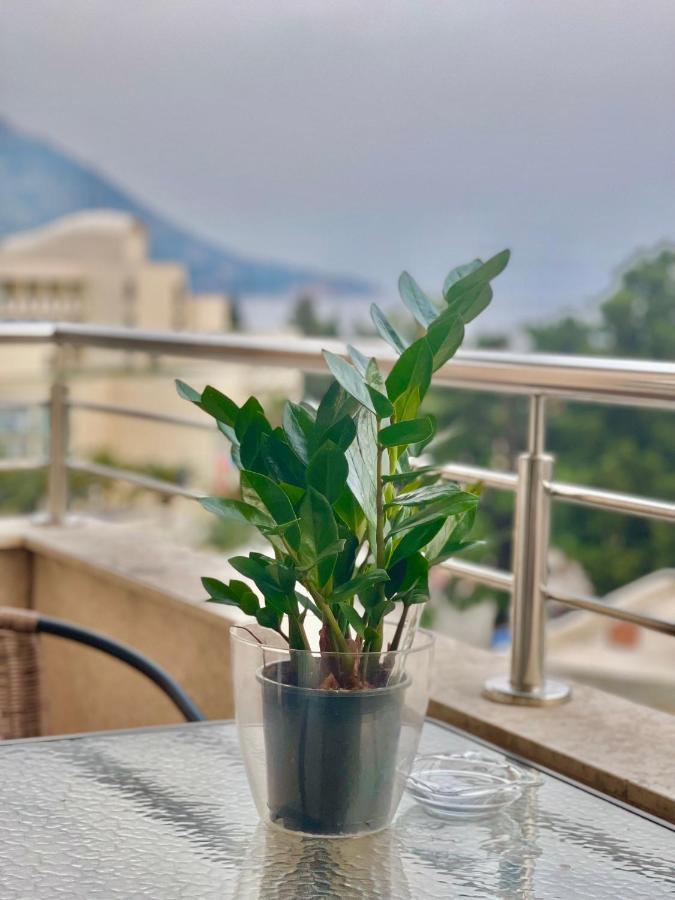 Apartments Boreta Becici Budva Bagian luar foto