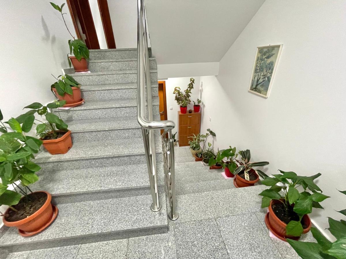 Apartments Boreta Becici Budva Bagian luar foto