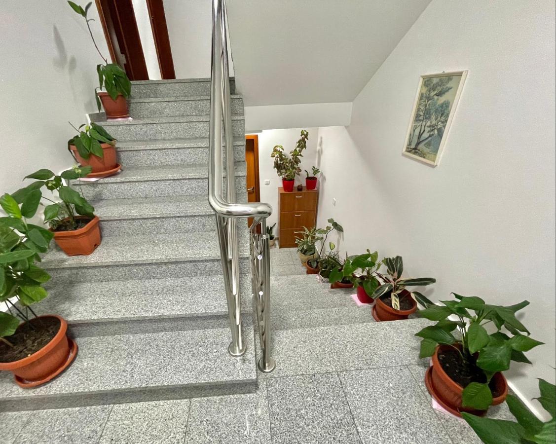 Apartments Boreta Becici Budva Bagian luar foto