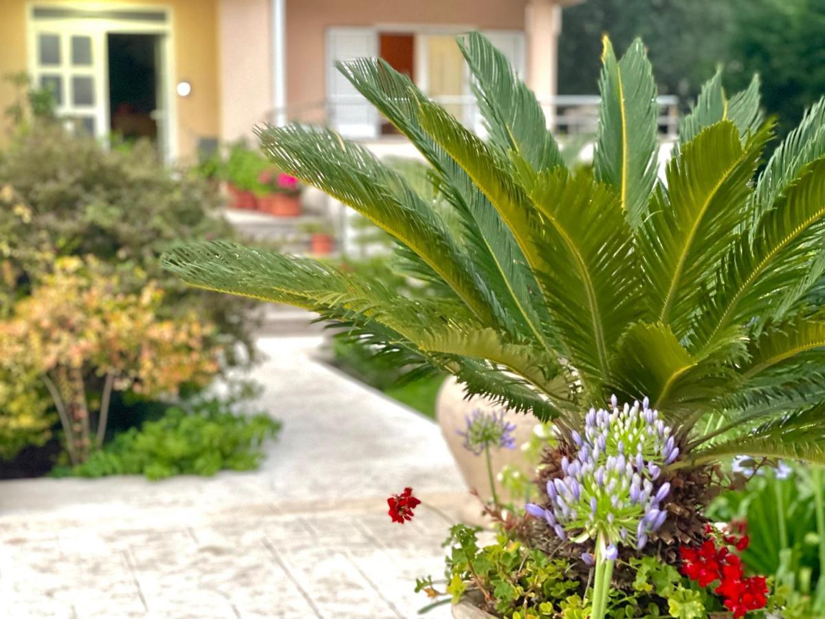 Apartments Boreta Becici Budva Bagian luar foto